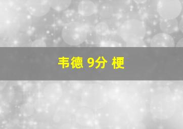 韦德 9分 梗